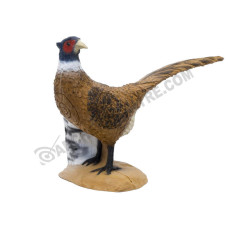 SRT Pheasant 